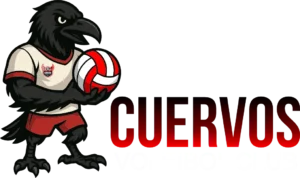 academia de voleibol alto parana